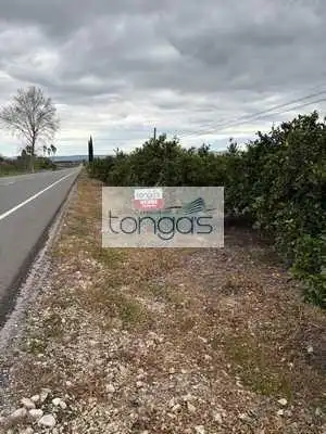 Rustikales Grundstück zum Verkauf in Xàtiva
