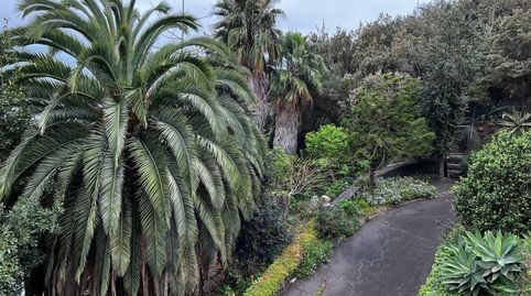 Foto 4 de Finca rústica en venta en Camino Cañeño, La Perdoma - San Antonio - Benijos, La Orotava