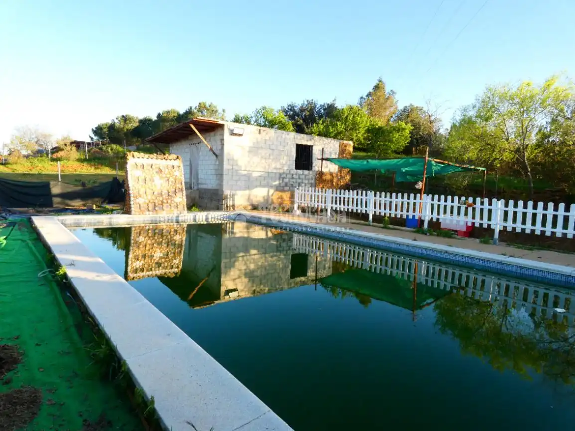 Piscina de Finca rústica en venta en Carmona con Piscina