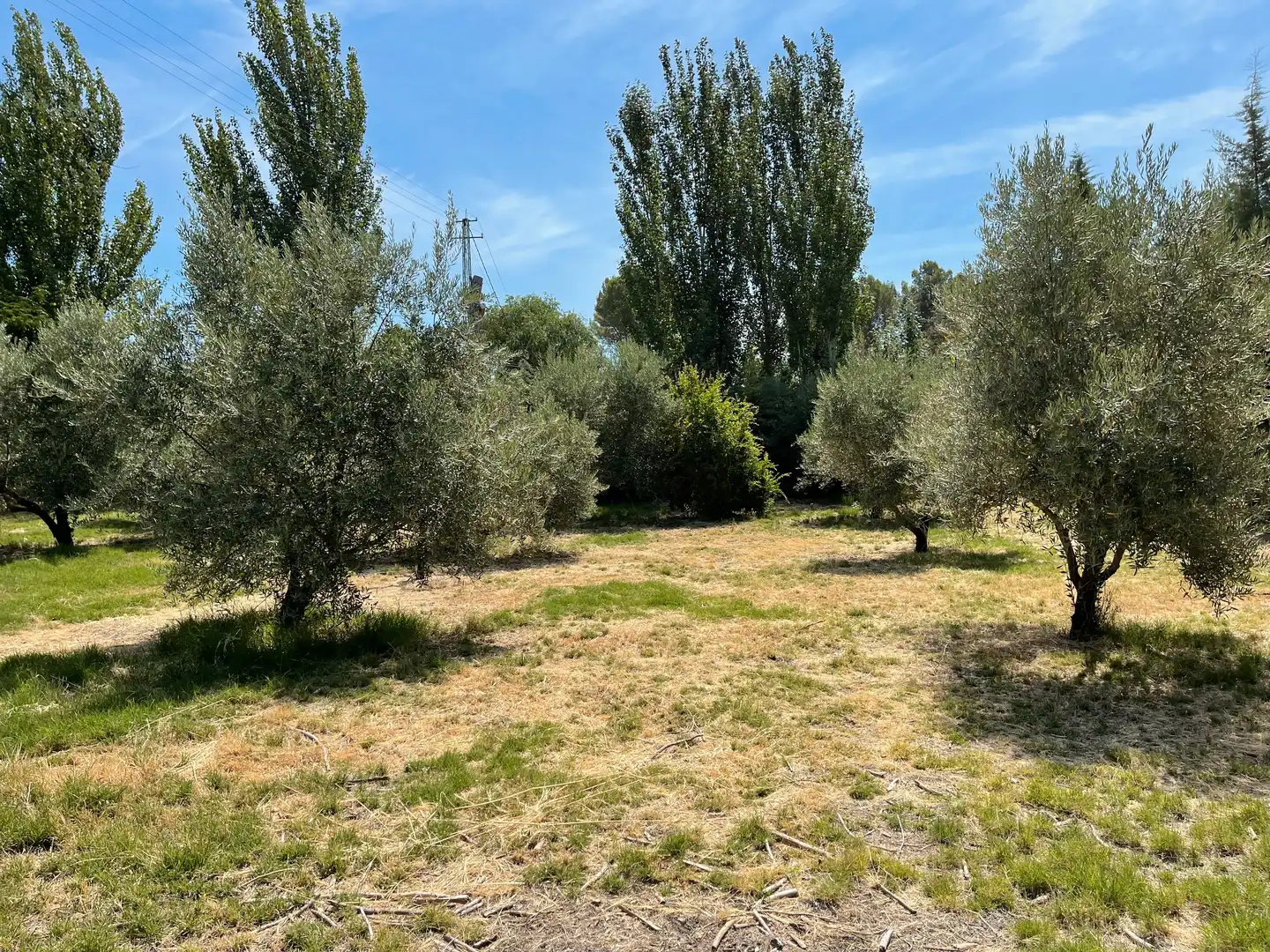 Terrenos y solares en venta en Úbeda, imagen 4