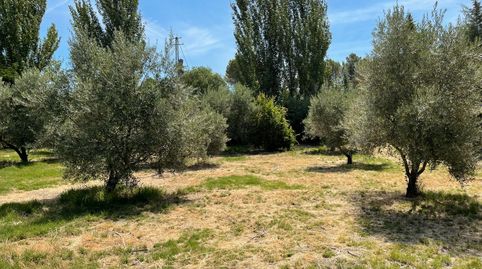 SE VENDE PARCELA RÚSTICA EN SAN BARTOLOME, immagine 4