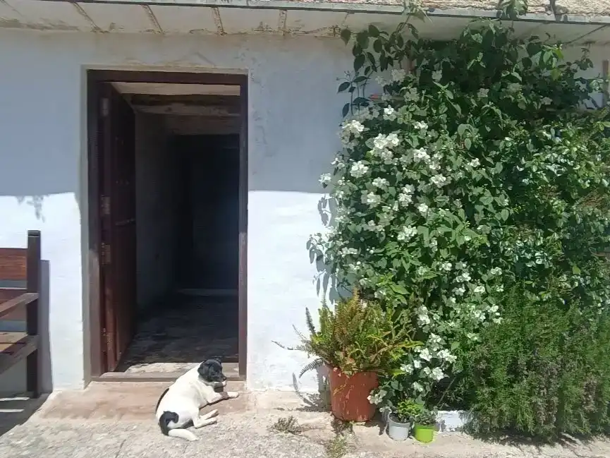 Jardí de Casa adosada en venda en La Taha amb Aire condicionat, Traster i Balcó