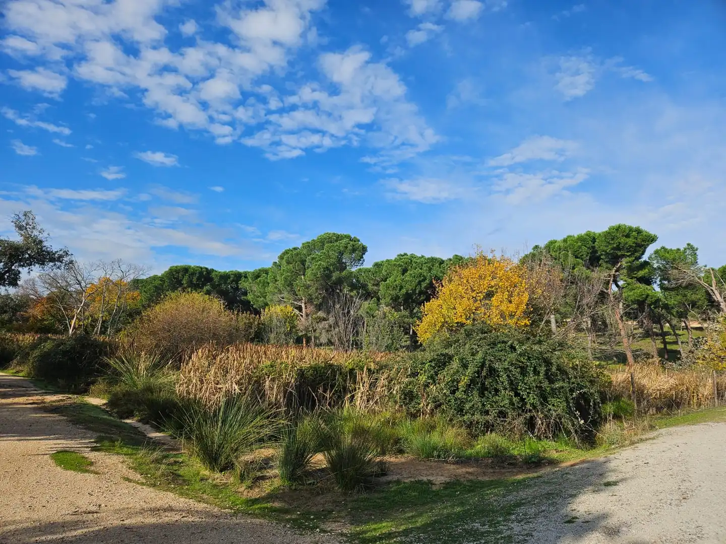 Jardín de Dúplex en venta en Alcobendas con Aire acondicionado, Calefacción y Parquet