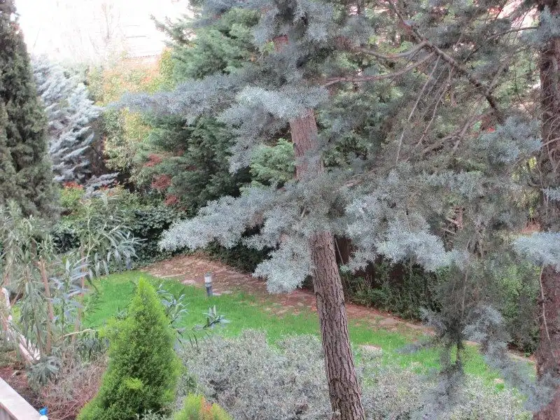 Garden of Flat for rent in Pozuelo de Alarcón  with Air Conditioner, Heating and Private garden