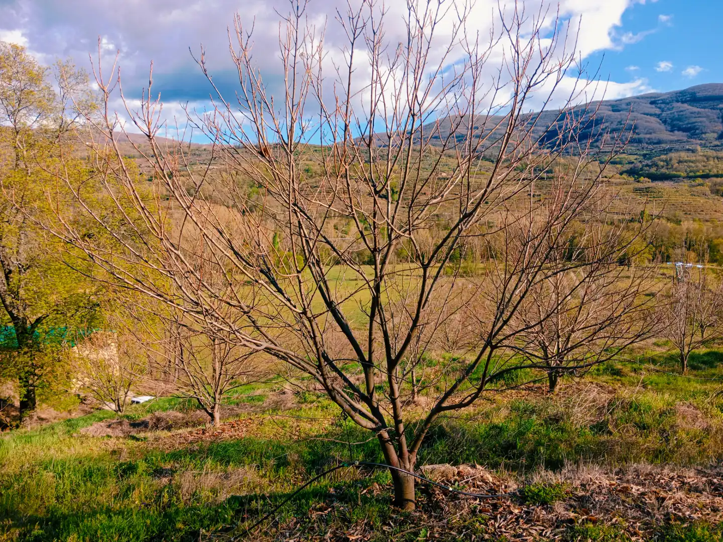Terreno en venta en El Torno 
