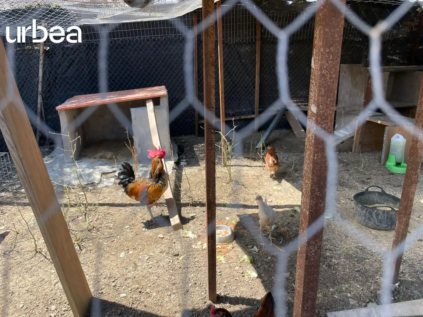 Jardín de Finca rústica de alquiler en Málaga con Calefacción, Jardín privado y Terraza