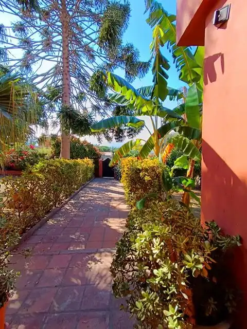 Houses for sale in Los Pinos