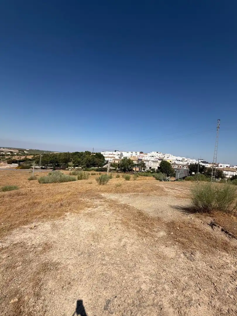 Terreno rustico in vendita a Morón de la Frontera, imagen 6