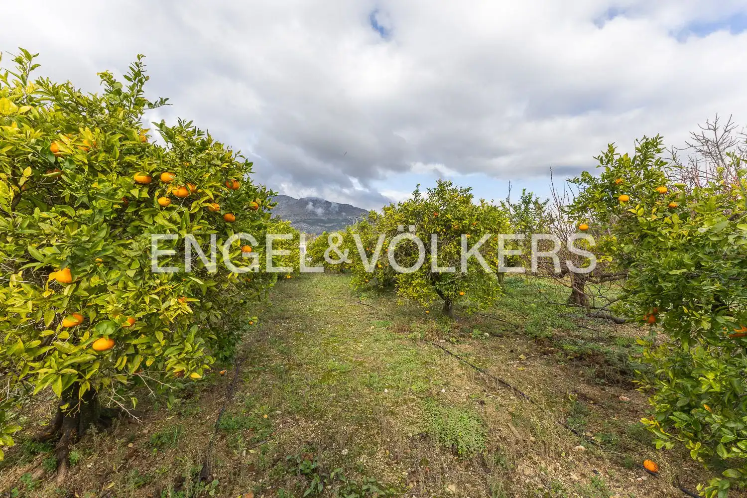 Houses for sale in Orba  with Air Conditioner, Heating and Private garden