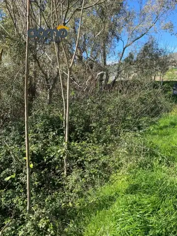 Rustikales Grundstück zum Verkauf in Camino Capilla, imagen 15