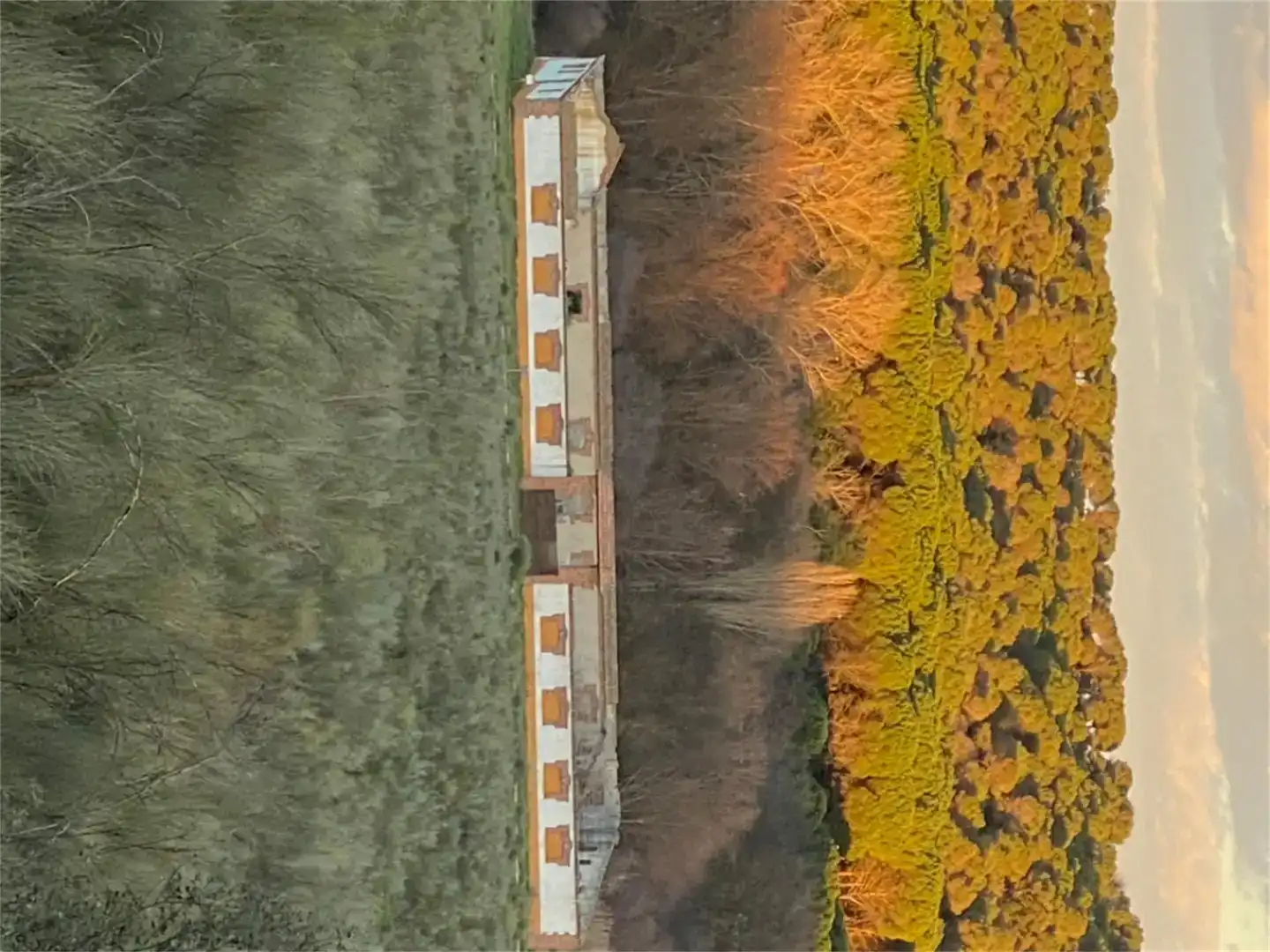 Jardín de Finca rústica en venta en Villaviciosa de Odón
