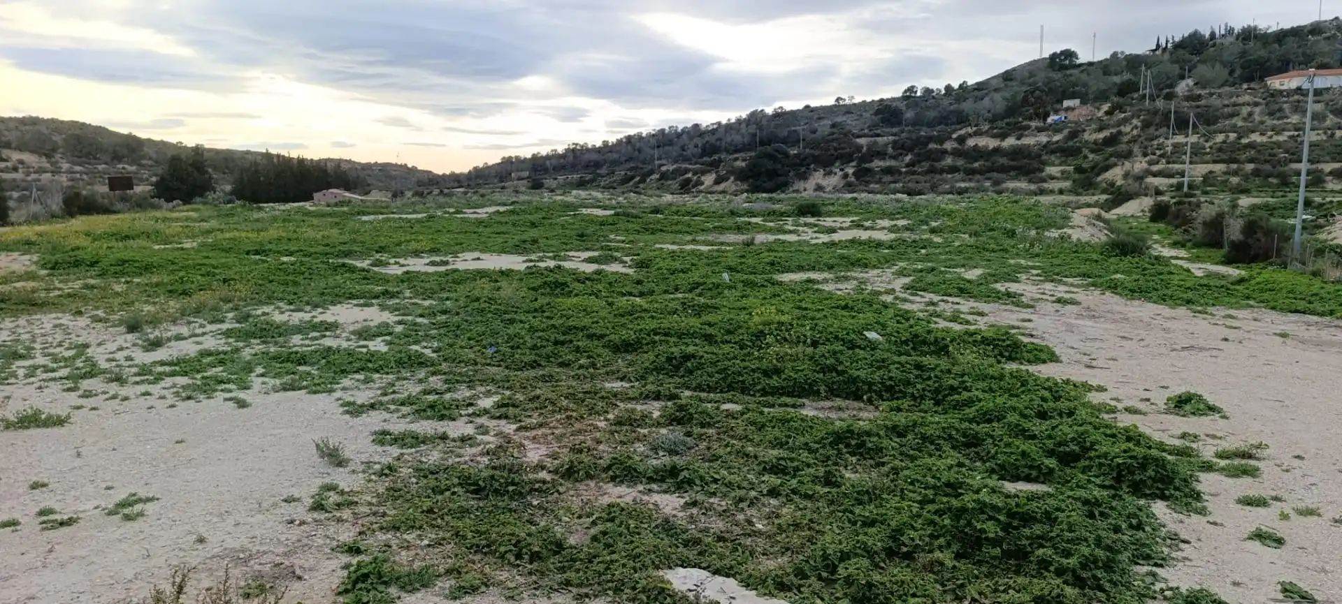 Land for sale in Aspe