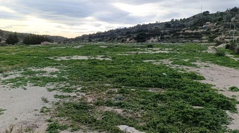 Foto 3 de Terreny en venda a Pedanías Oeste, Aspe
