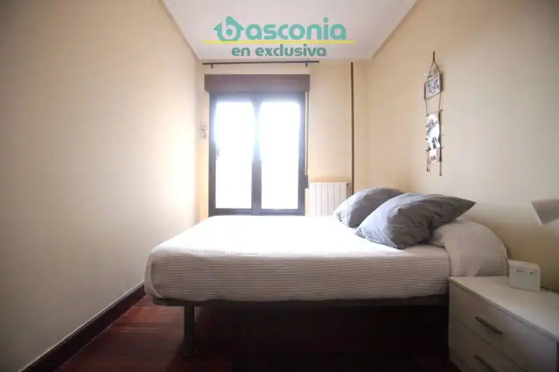 Appartamento con terrazza in vendita a Agirre Lehendakaria Kalea, imagen 14