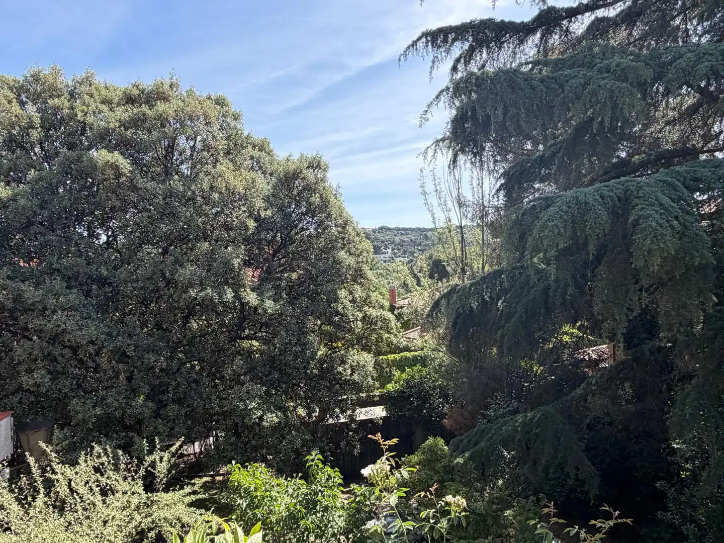 Jardí de Casa o xalet en venda en Galapagar amb Aire condicionat, Calefacció i Jardí privat
