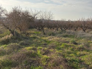 Terreno rustico in vendita a Albelda de Iregua
