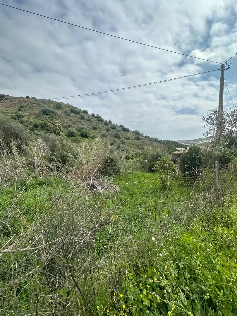 Finca rústica en venta en Iznate con Jardín privado