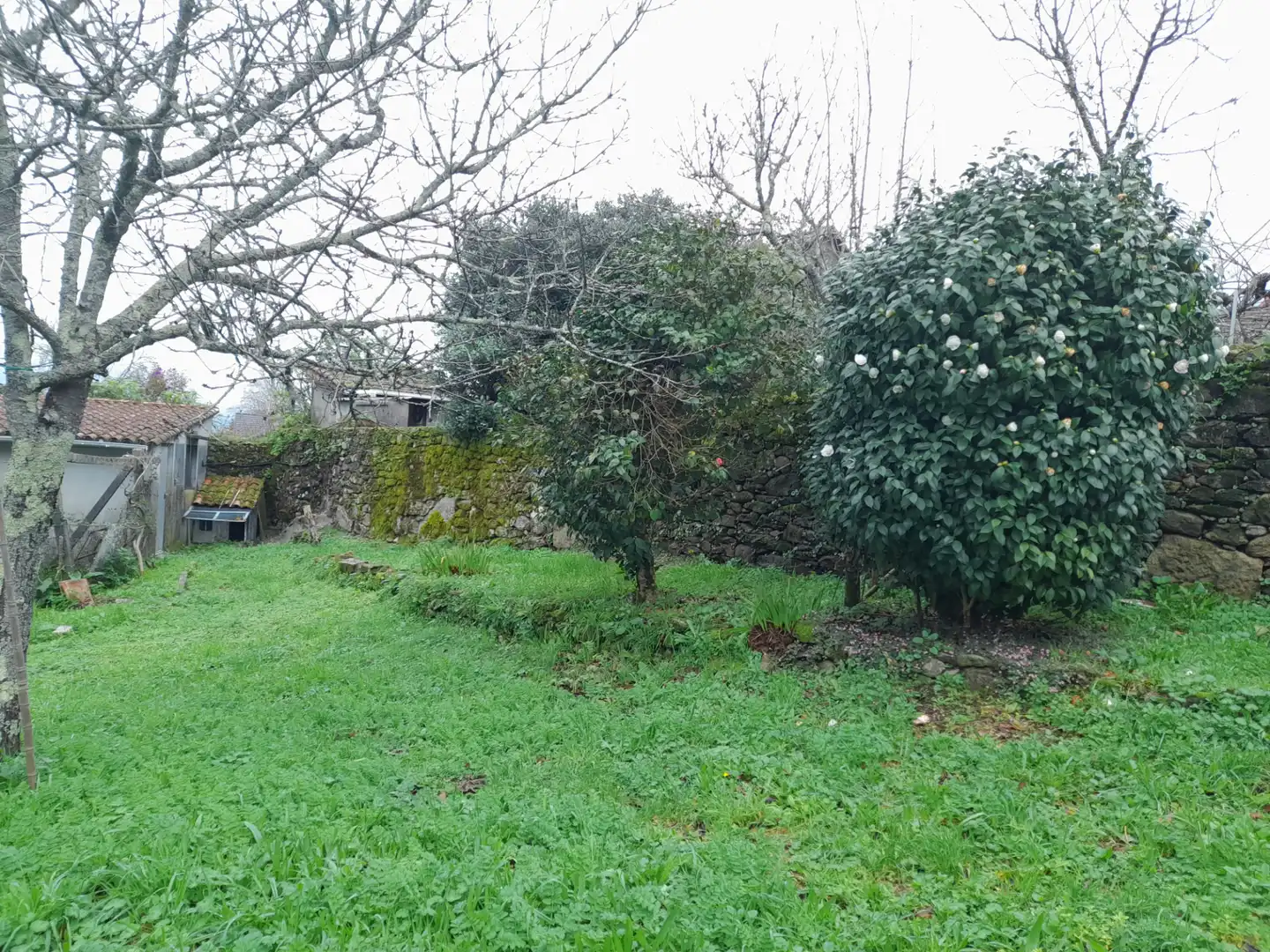 Casa o xalet en venda en Pontevedra Capital  amb Moblat