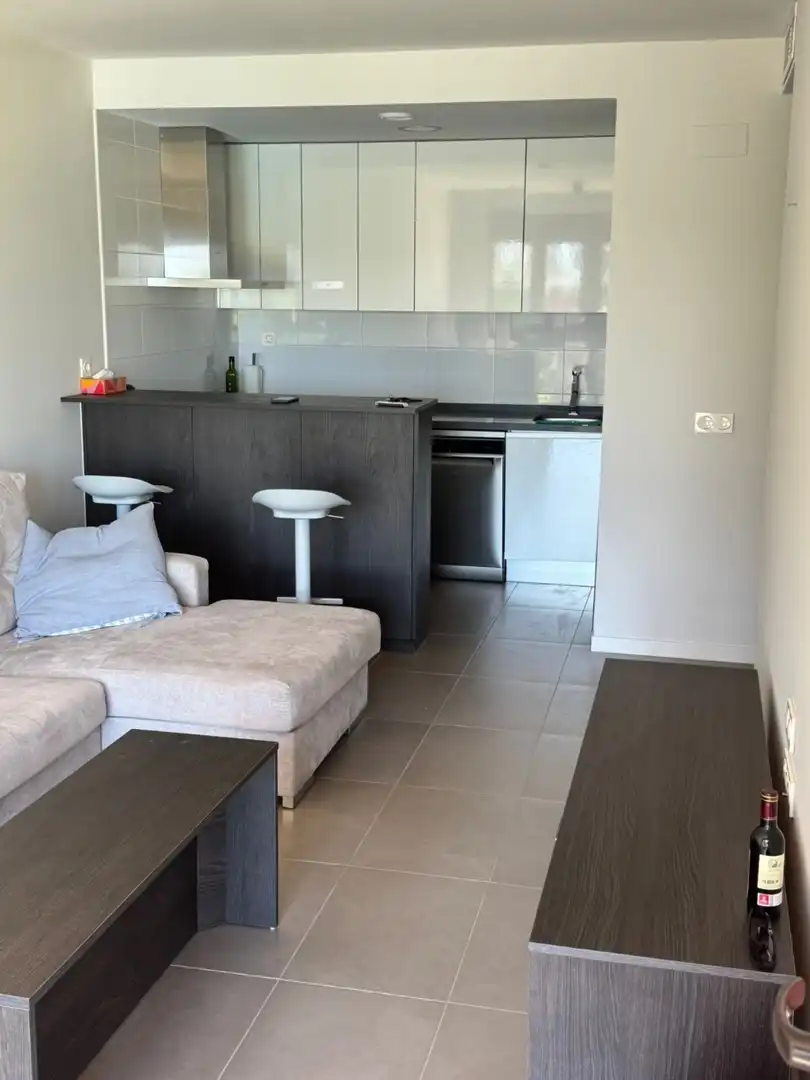 Apartamento con terraza en alquiler en Mil Palmeras, imagen 4