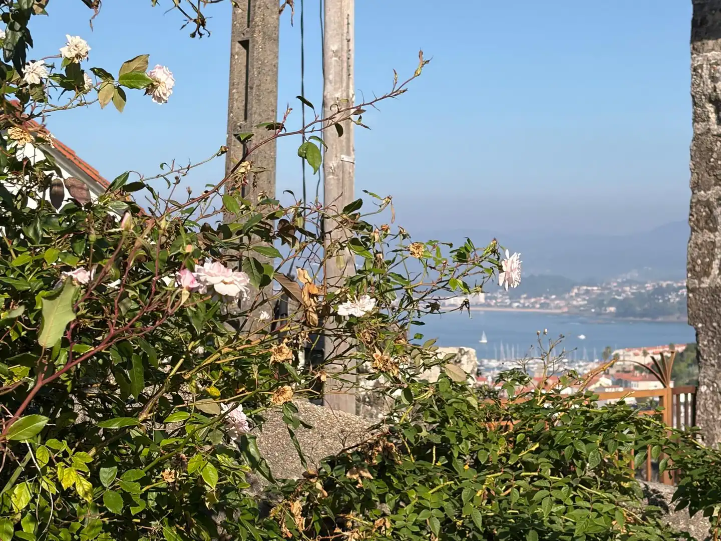Jardín de Finca rústica en venta en Baiona con Jardín privado
