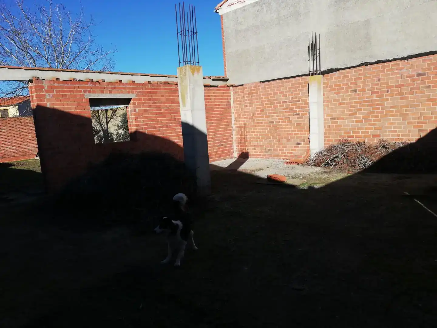 Jardín de Terreno en venta en Cantalpino, Salamanca