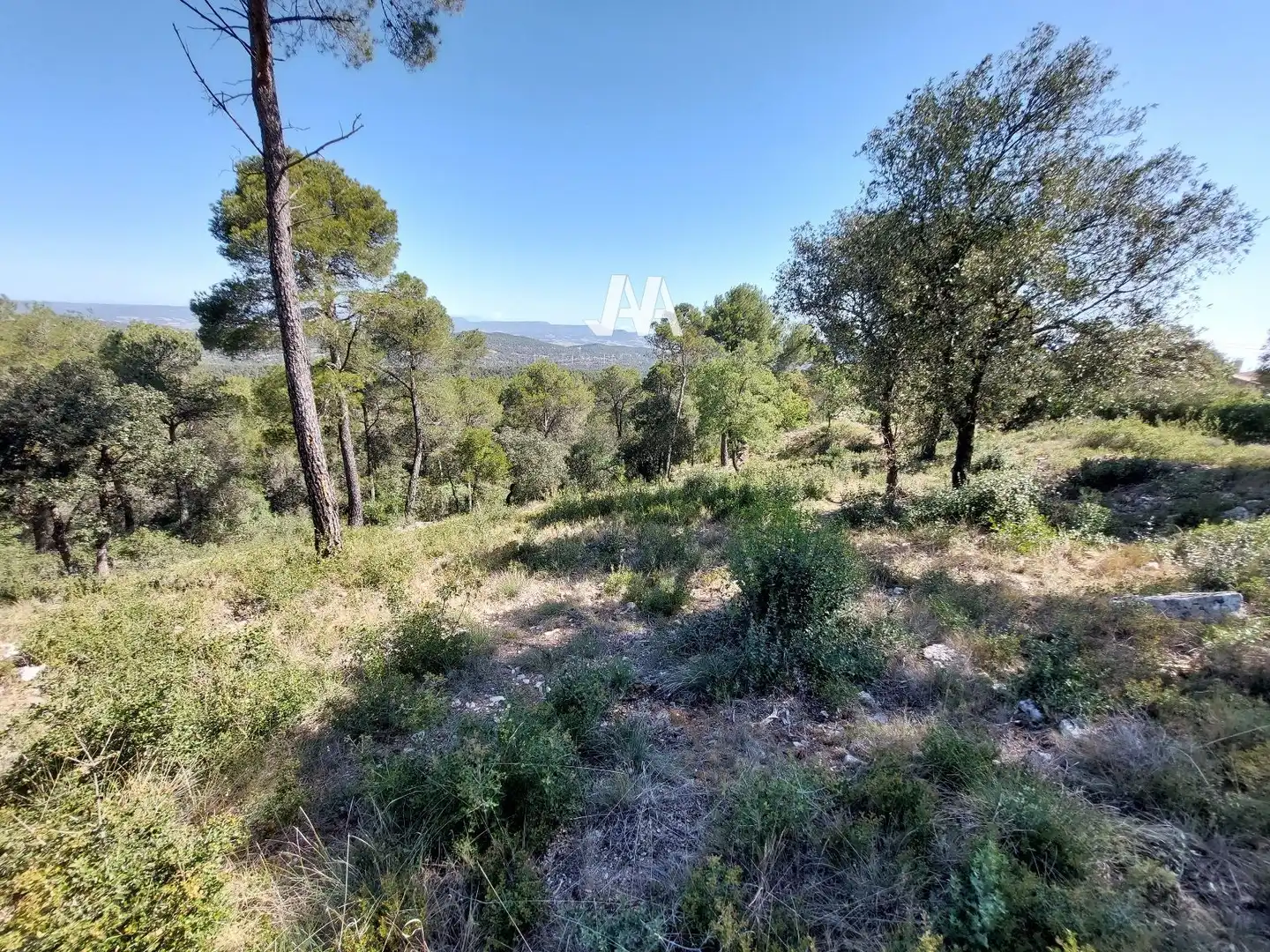 Terreny residencial en venda a FRANCESC COMBÓ, imagen 8