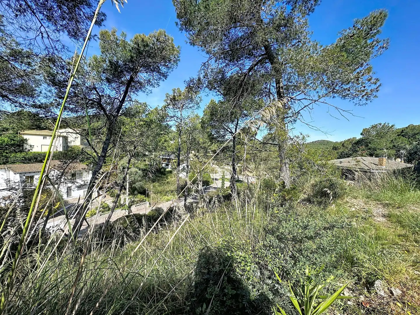 Terreny residencial en venda a Olivella, imagen 9