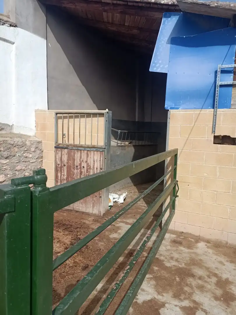 Vista exterior de Residencial en venda en Tórtola de Henares