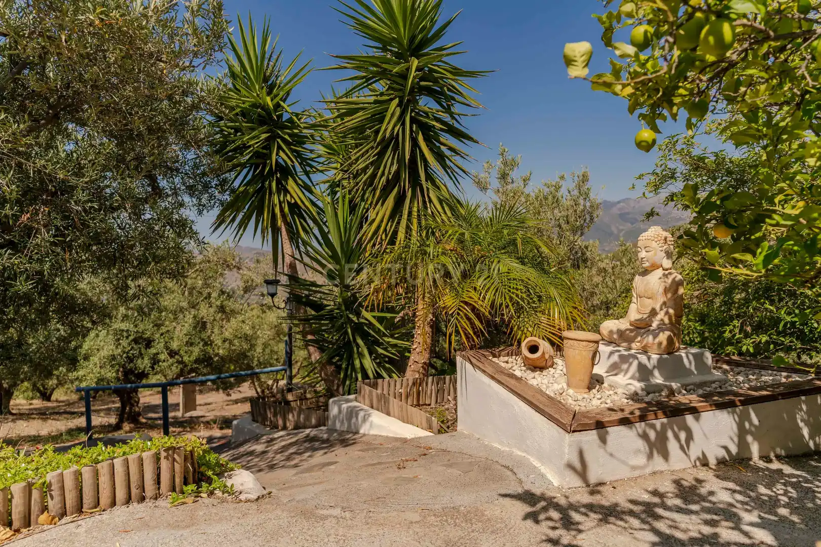 Garden of Houses for sale in Ítrabo  with Furnished and Jacuzzi