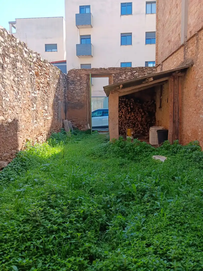 Jardín de Residencial en venta en Amposta