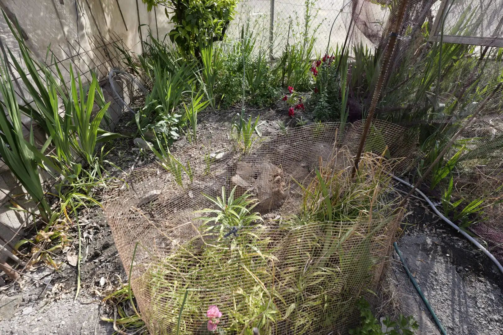 Garden of Houses for sale in Adra  with Private garden, Terrace and Furnished