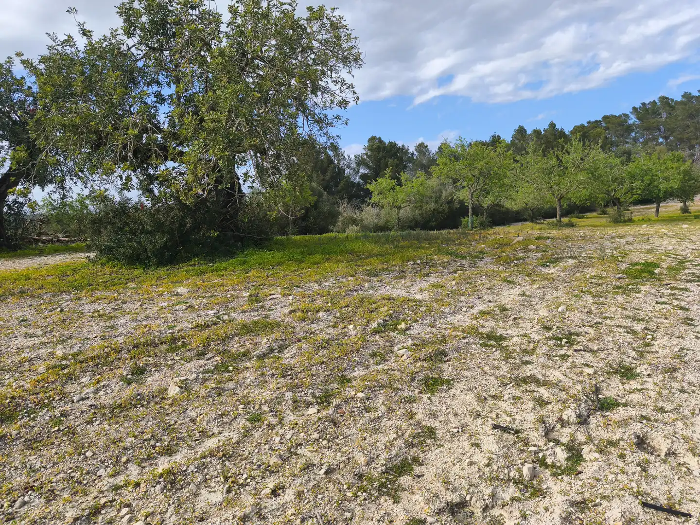 Terreno rustico in vendita a Sant Joan, imagen 4