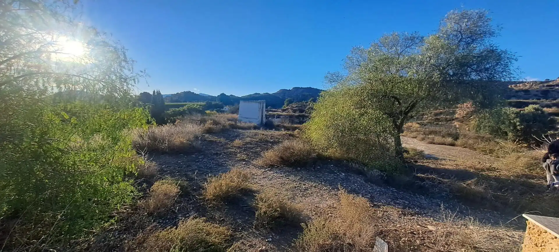 Casa o xalet en venda en Librilla amb Jardí privat