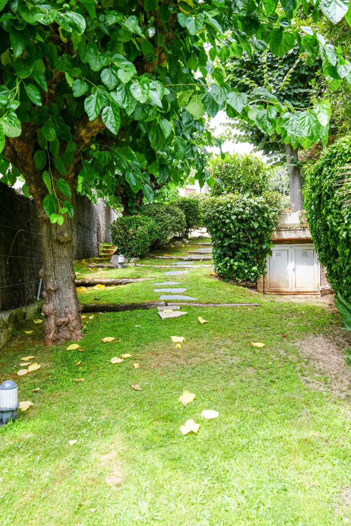 Maison mitoyenne avec terrasse à vendre à Avinguda de Sant Andreu, imagen 21
