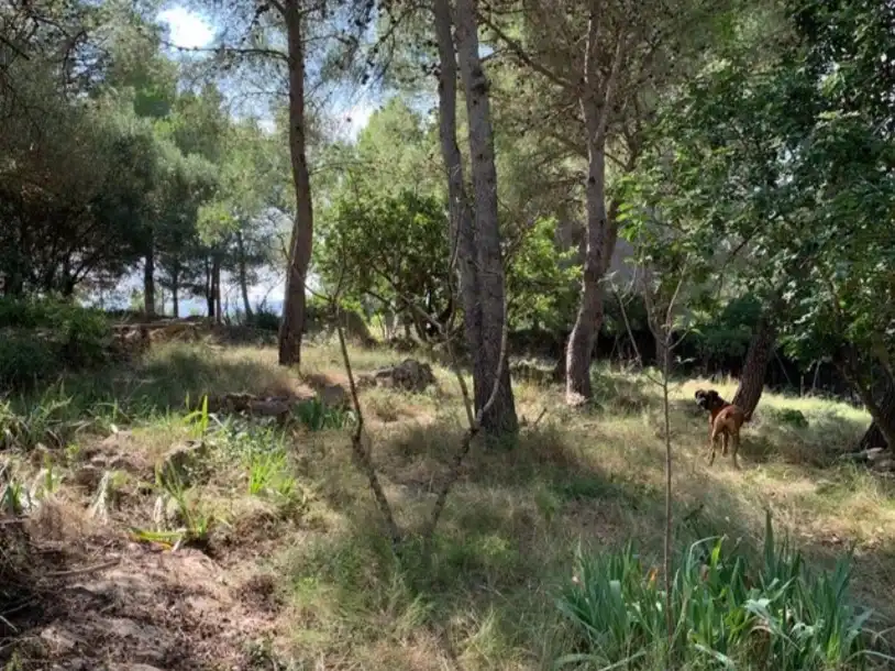 Terreny residencial en venda a Carretera de la Simpàtica 72, imagen 2