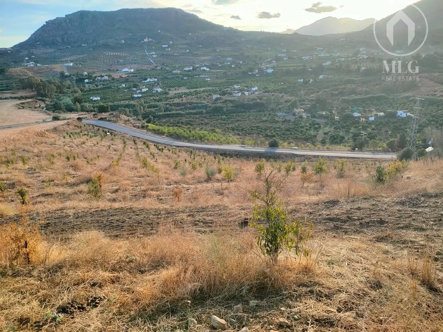 Terreni e lotti in vendita a 29