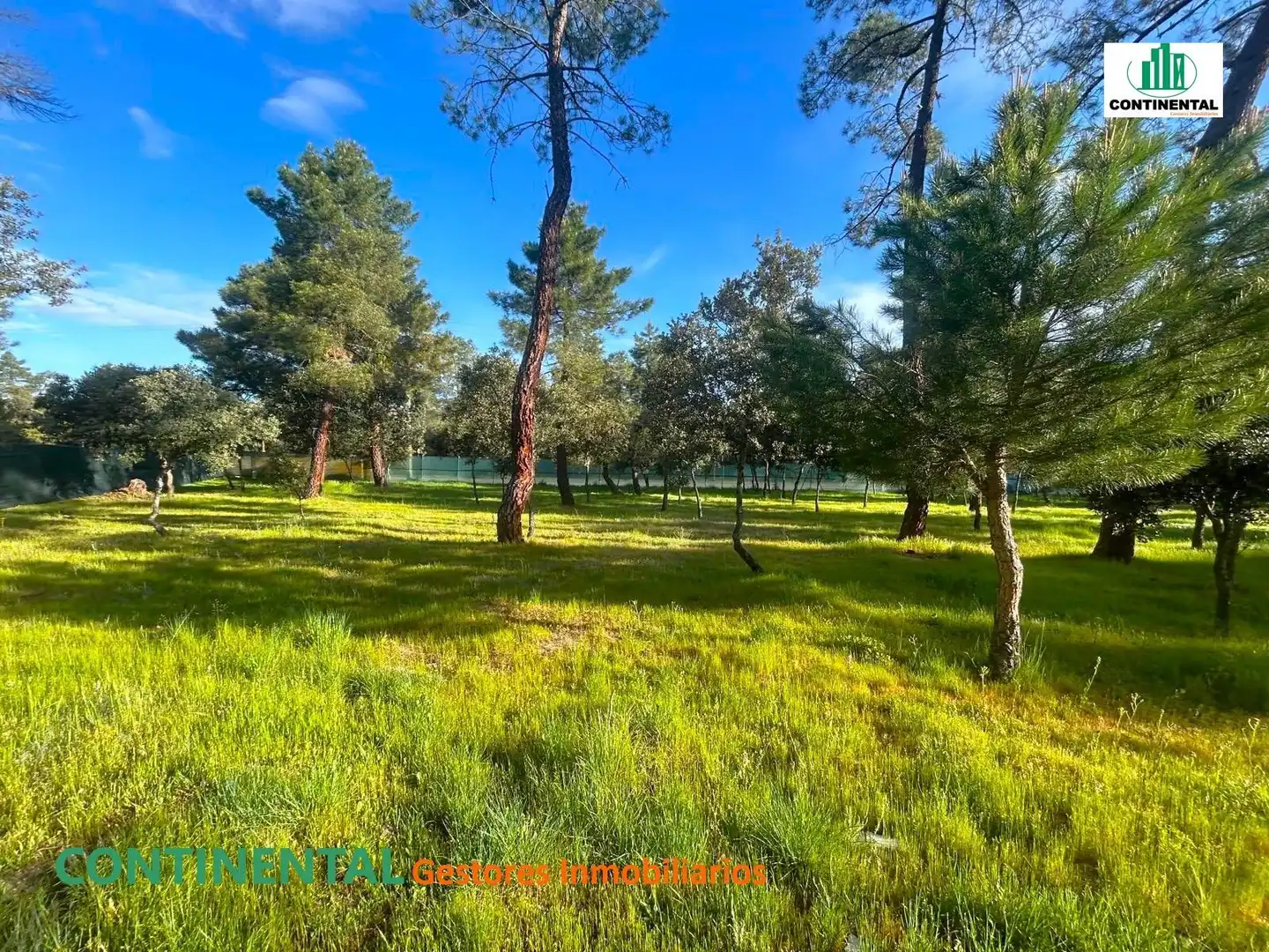 Terreni e lotti in vendita a PARACES IV, imagen 14