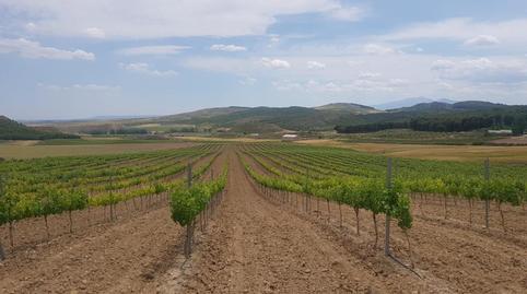 Foto 5 von Grundstücke zum Verkauf in C/ Palancona, Grávalos, La Rioja