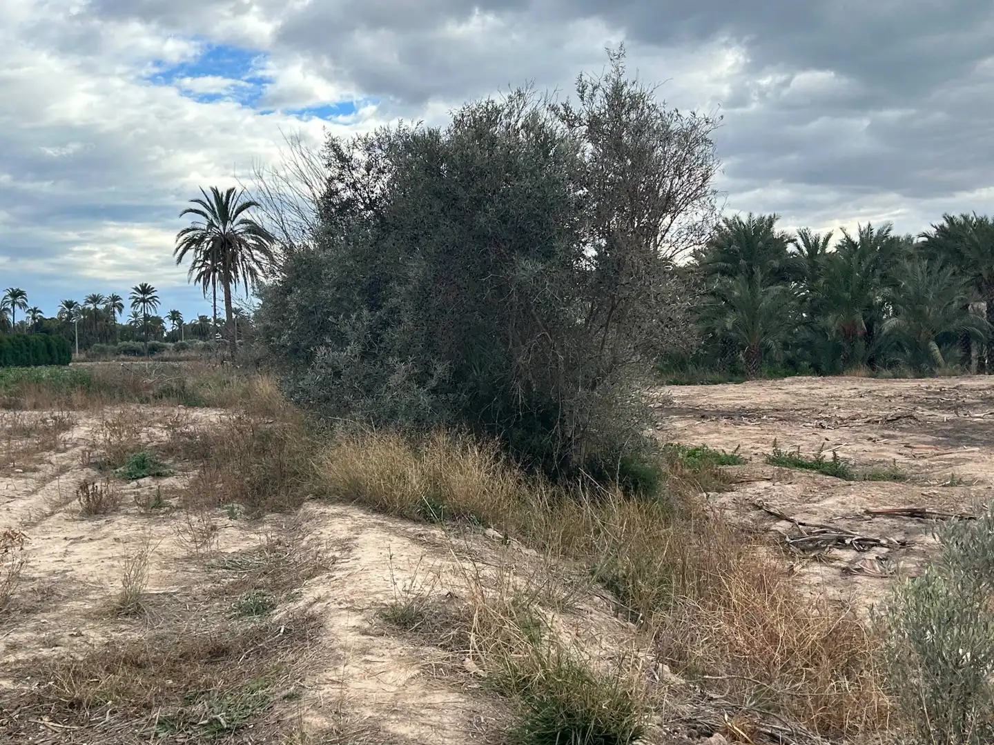 Casa o xalet en venda a Polígono 1, Elche de la Sierra