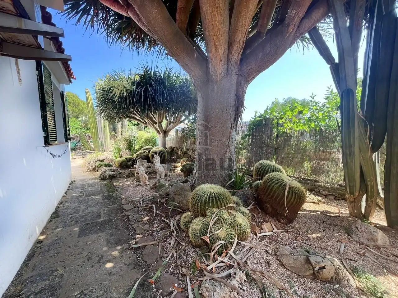 Jardí de Casa o xalet en venda en Ciutadella de Menorca amb Aire condicionat, Jardí privat i Terrassa