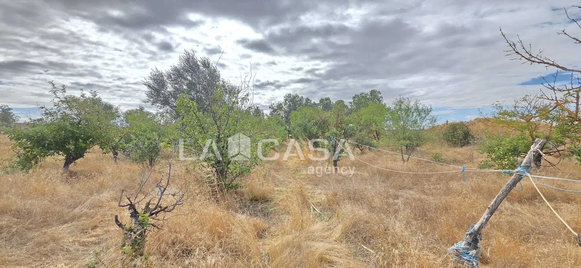 Residencial en venta en Meneses de Campos, Palencia