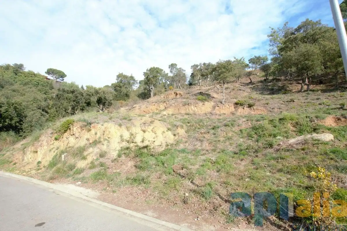Residential land for sale in Carrer Eucaliptus, imagen 5
