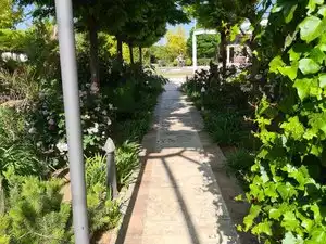 Villa mit Pool zum Verkauf in Villarrobledo, imagen 11