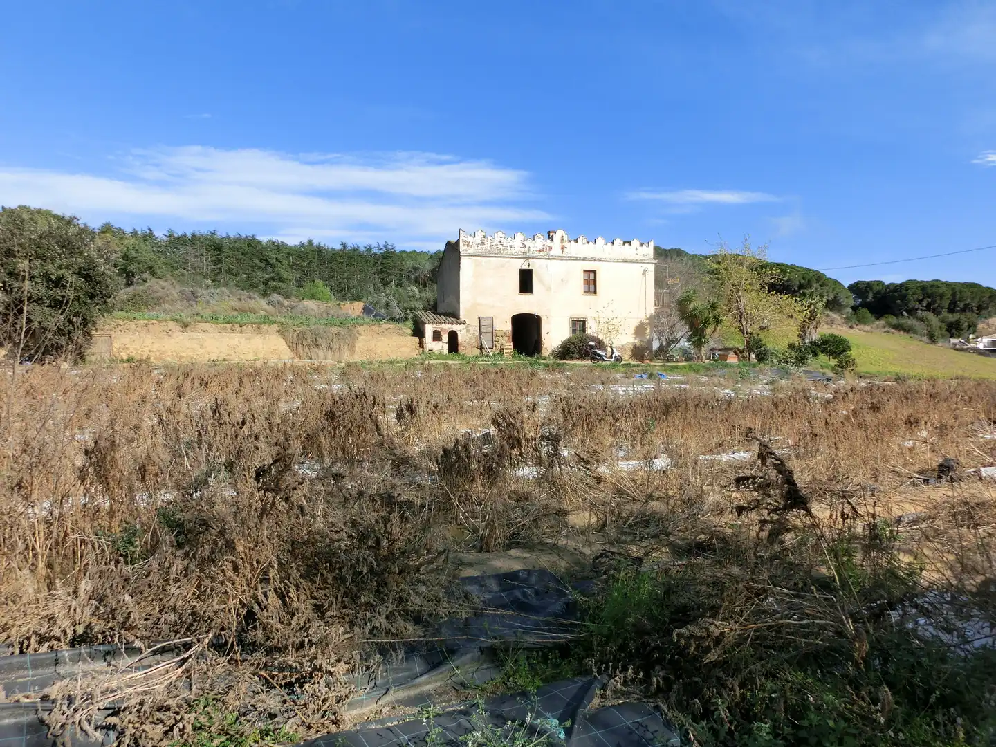 Vista exterior de Finca rústica en venta en Canet de Mar