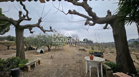 Foto 2 de Finca rústica en venta en N/a, Riudoms, Tarragona