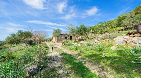 Finca para reformar con un terreno de 160.000 m2 en las afueras de Artà, imatge 2