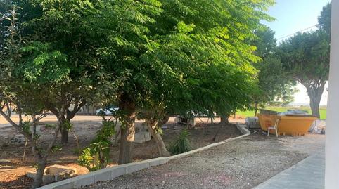 Photo 5 of House or chalet for sale in Cv-858, Dolores, Alicante