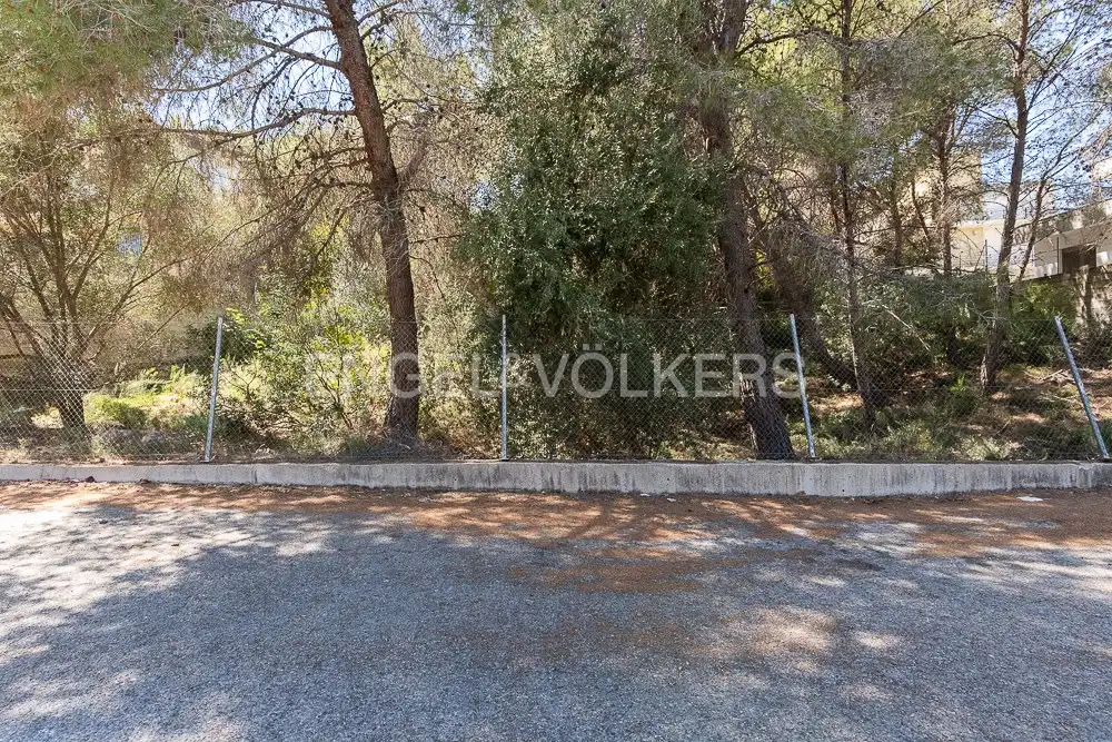 Terrenys i solars en venda a Carcaixent