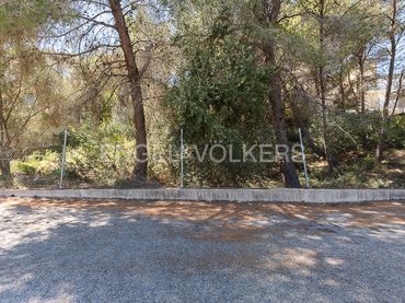 Terrenys i solars en venda a Carcaixent