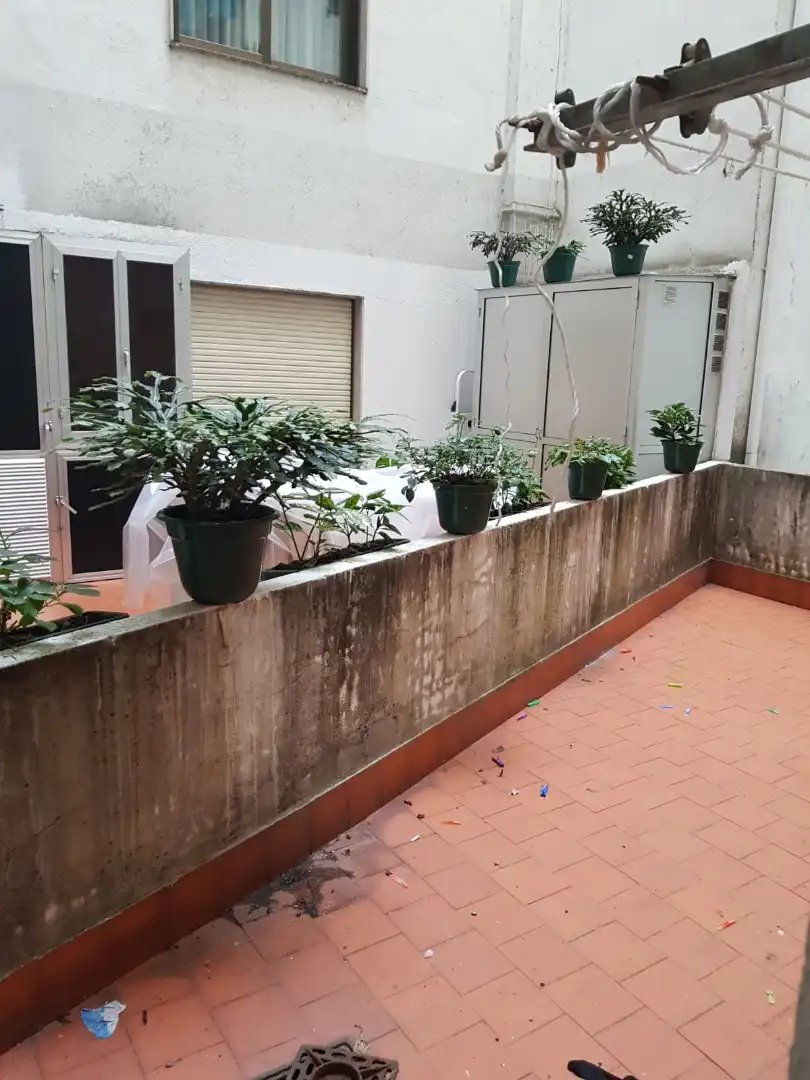 Terrasse von Wohnungen zur Miete in Ourense Capital  mit Heizung, Parkett und Möbliert